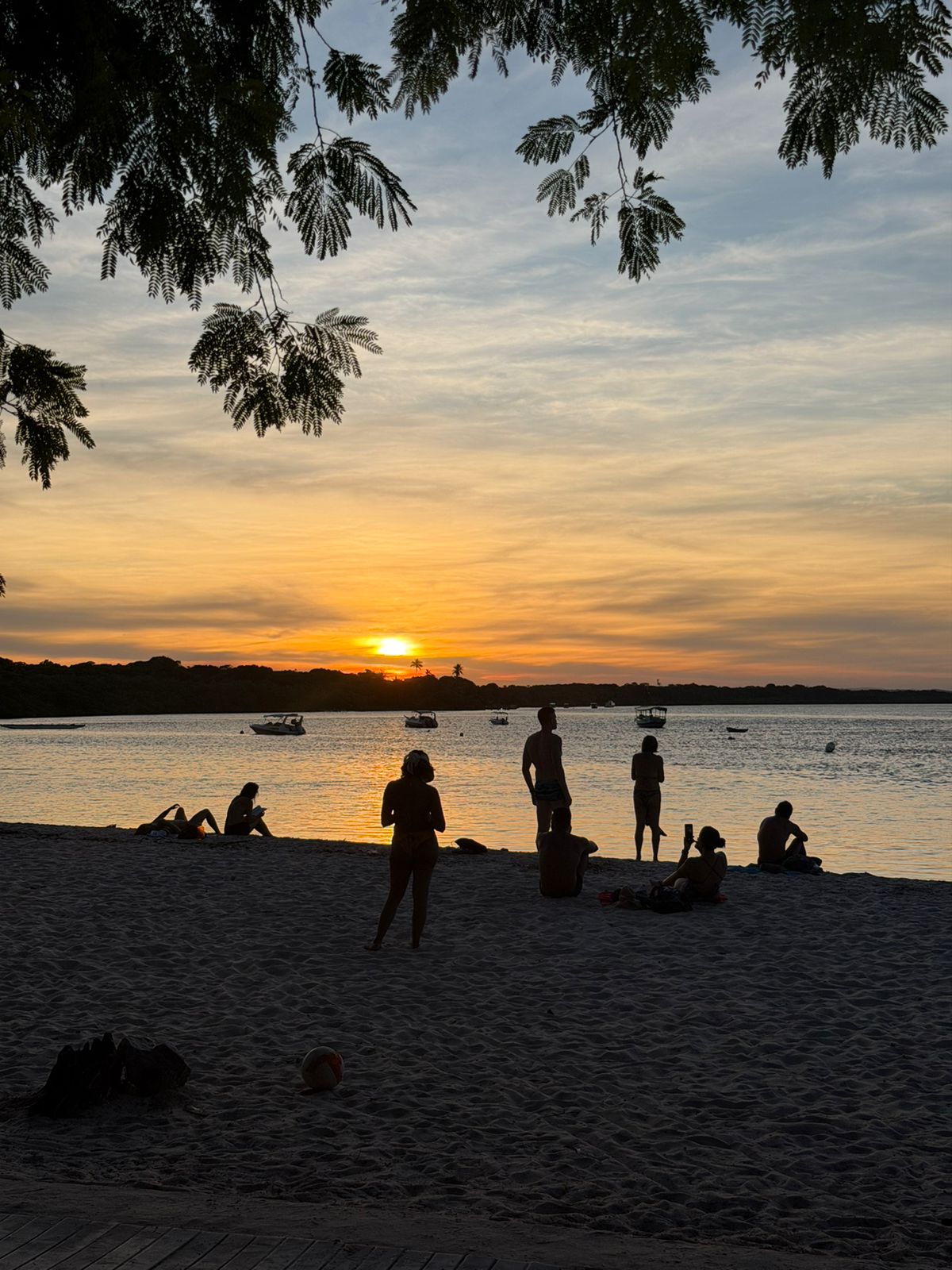 Paisagem e serviços locais na Ilha de Boipeba